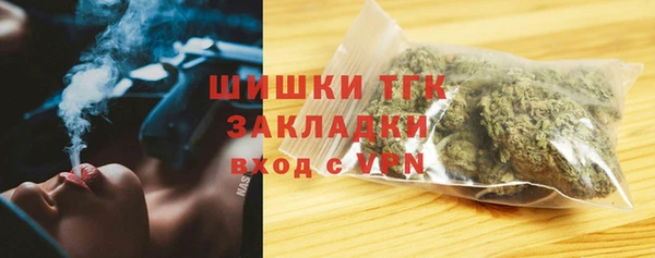 крисы Абаза
