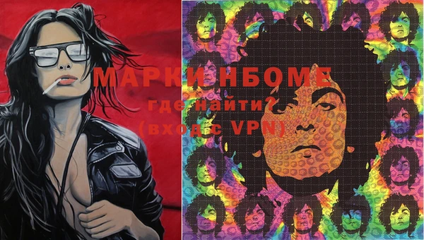 крисы Абаза