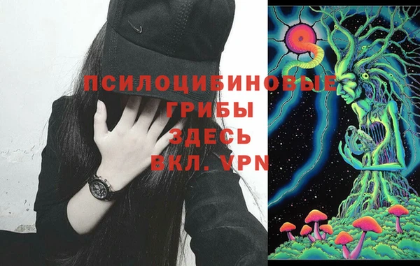крисы Абаза