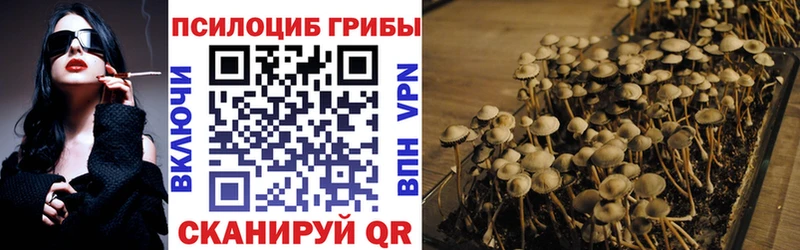 Галлюциногенные грибы мицелий  Мамадыш 